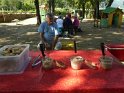 2018-09-19 12-59-52 Pique-nique MBo